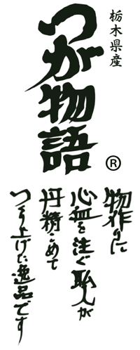 下仁田ねぎを改良したネギ